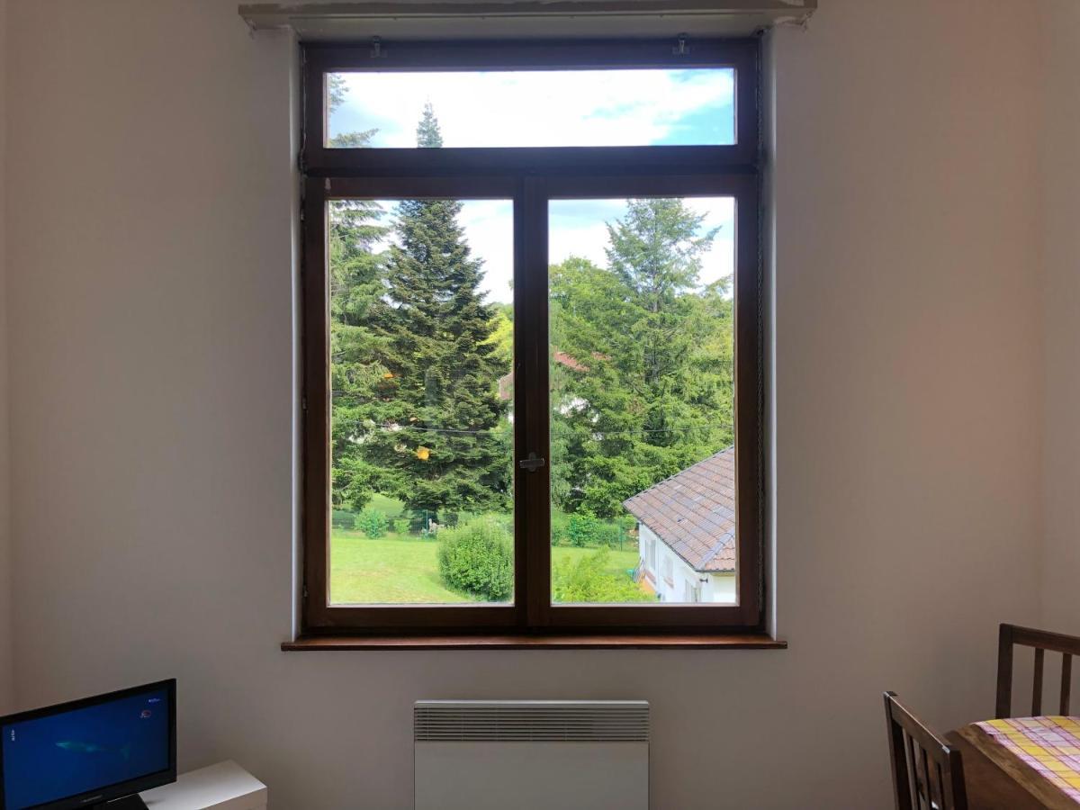 Loft Mon Soleil Leilighet Le Hohwald Eksteriør bilde